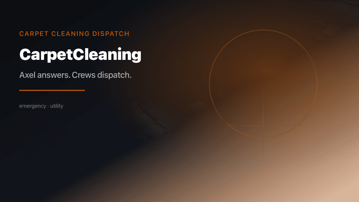 Carpet Cleaning Dispatch preview